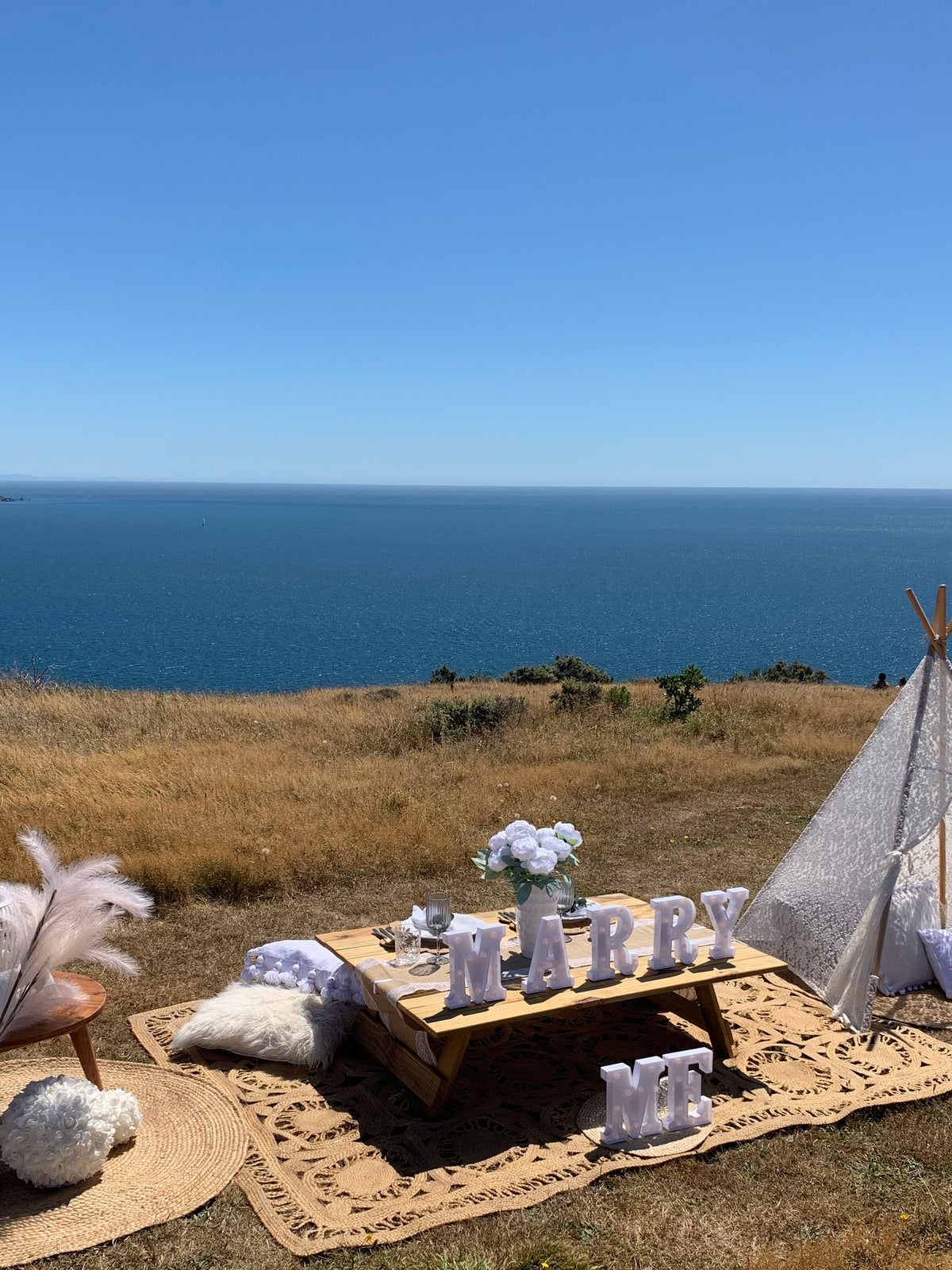 Proposal picnic with gorgeous views Wellington