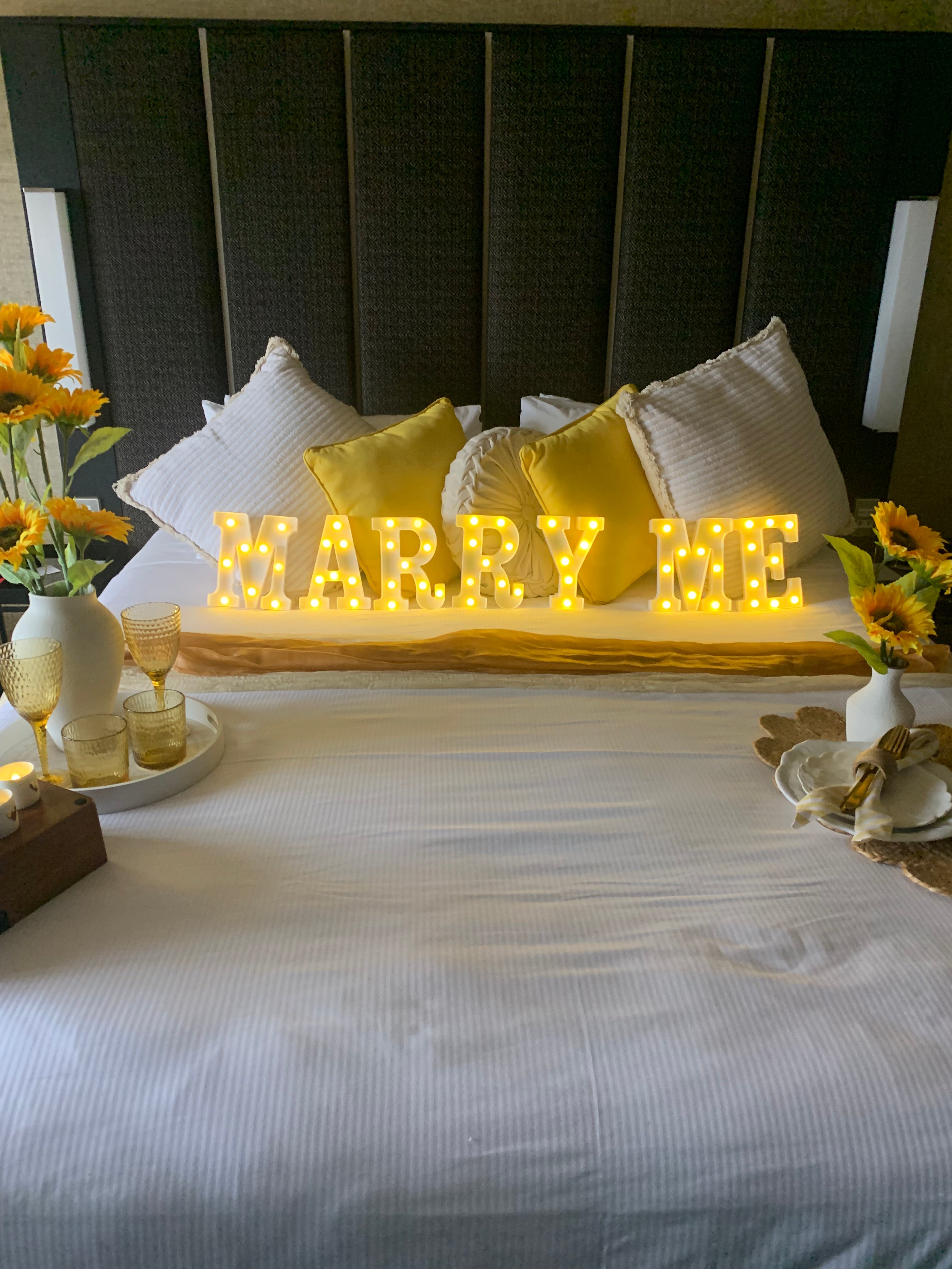 Hotel proposal luxury picnic setup Wellington