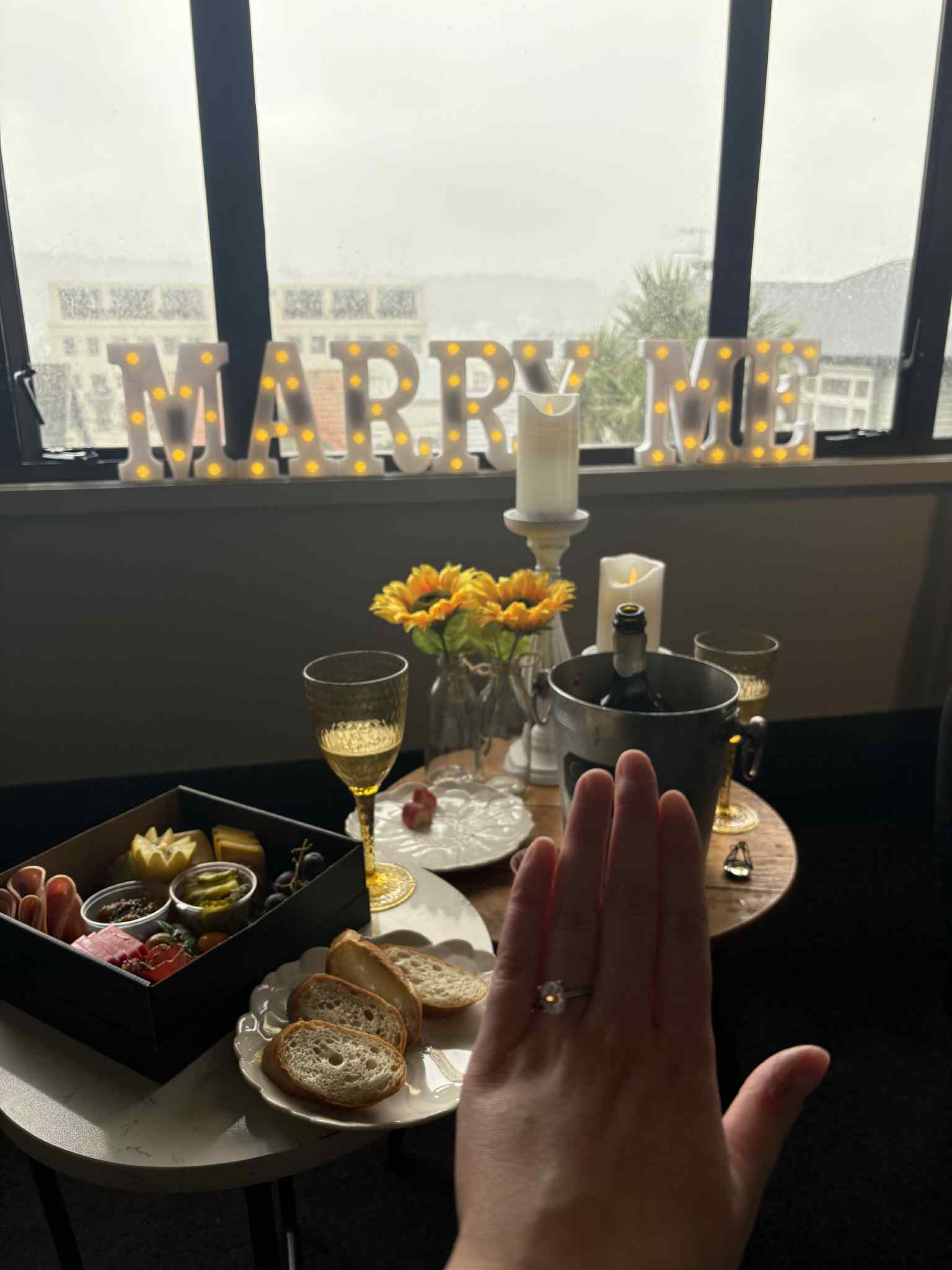 Proposal picnic setup event planner Wellington