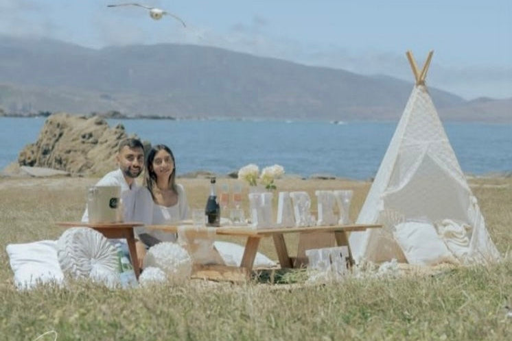Proposal picnic party hire setup Wellington