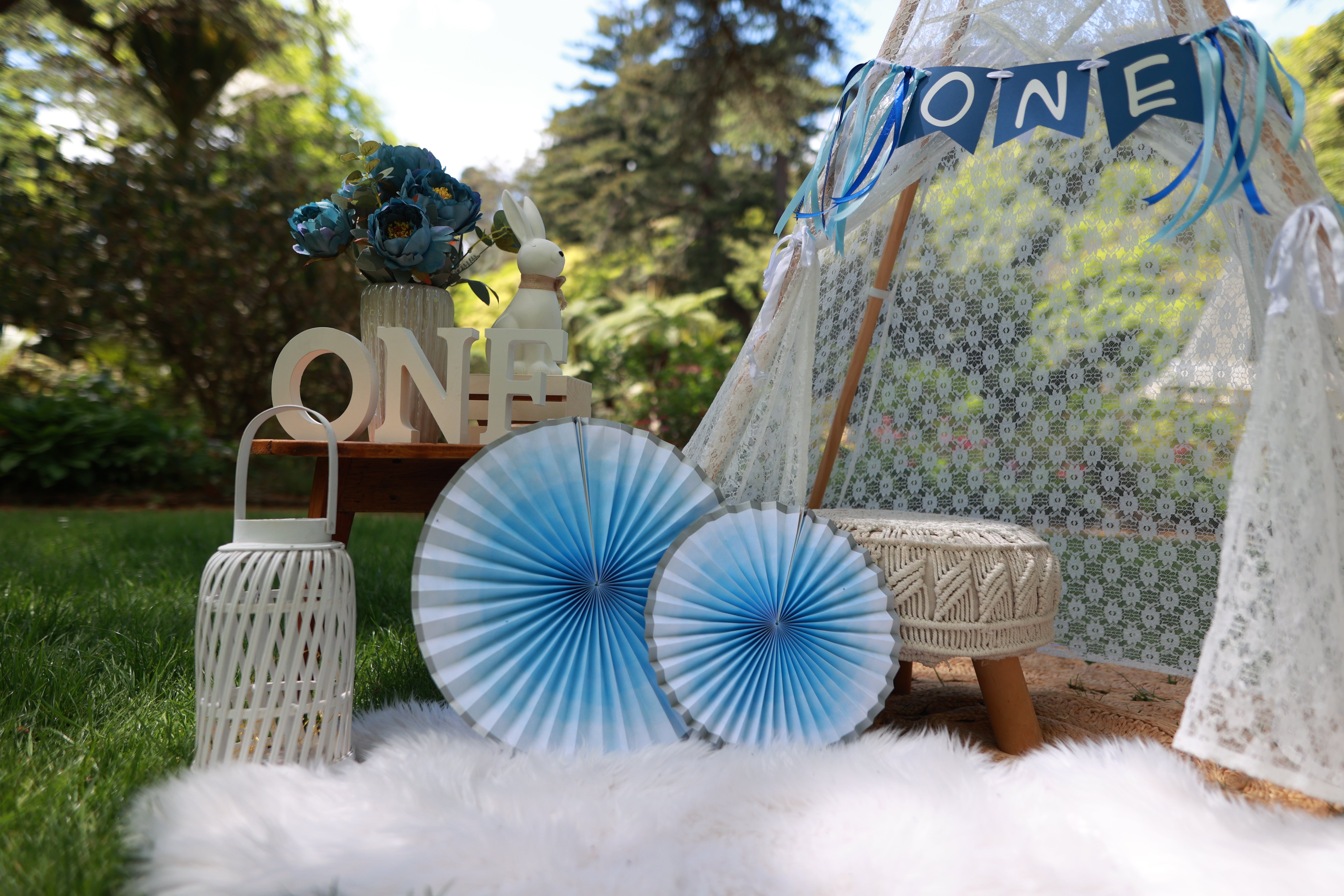 1st birthday photo shoot Wellington Botanic Gardens teepee setup