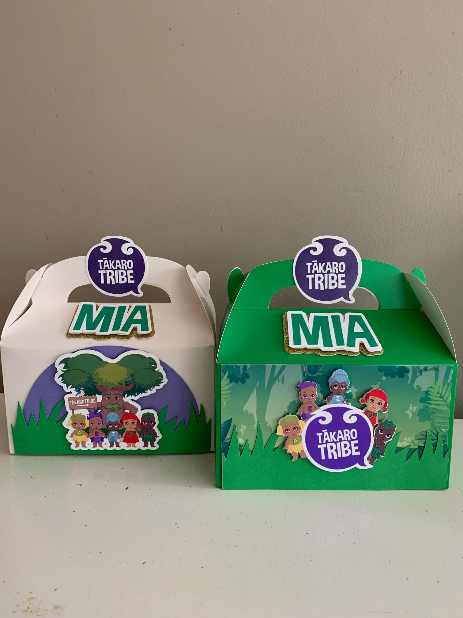 Tākaro Tribe 3d treat boxes