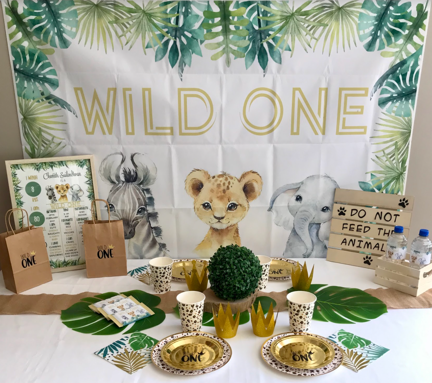 Wild one party ideas