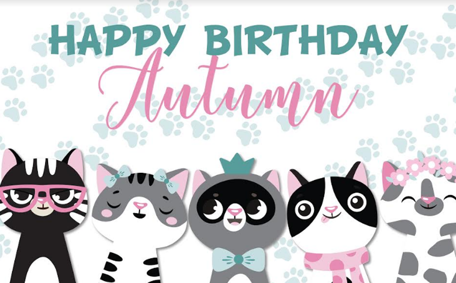 Cat or kitty party box