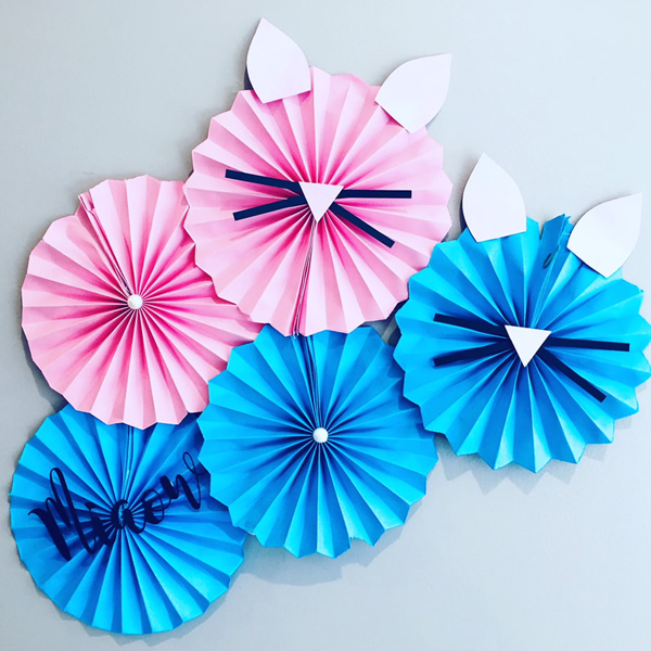 Cat party supplies