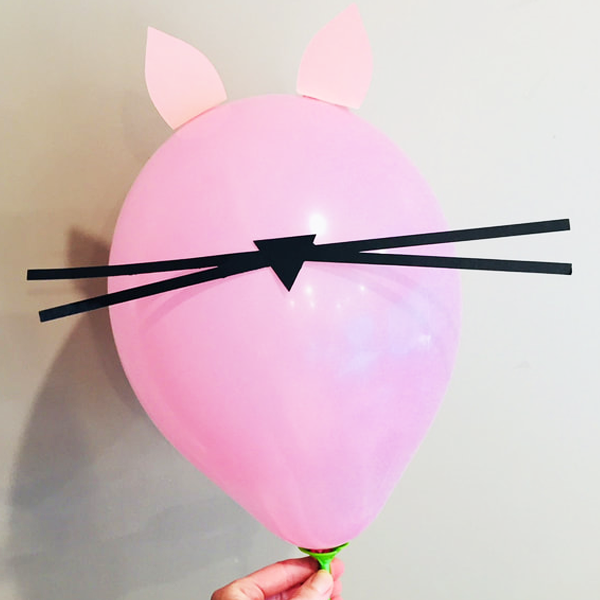 Cat party supplies