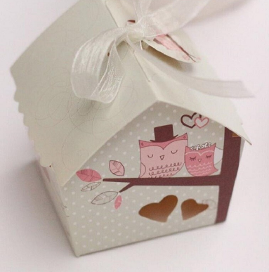 Bird house gift boxes