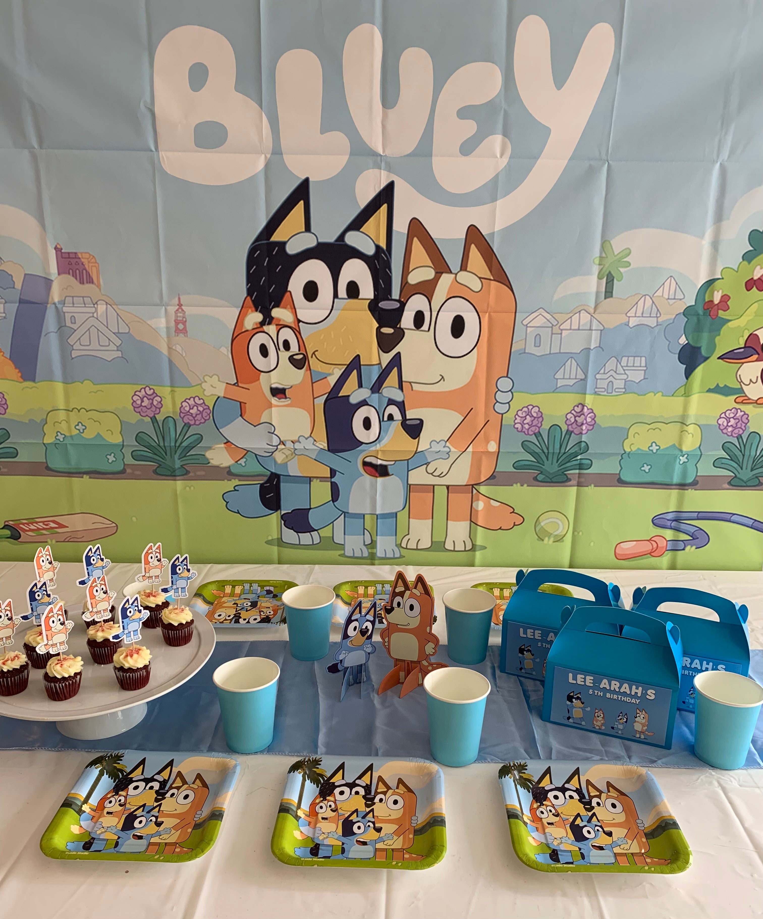 Bluey standard party supplies party box