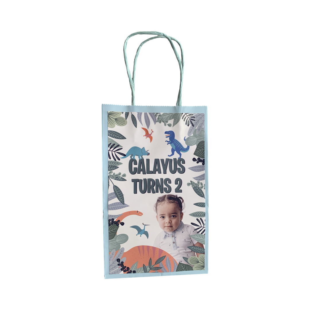 Dinosaur themed personalised gift bags