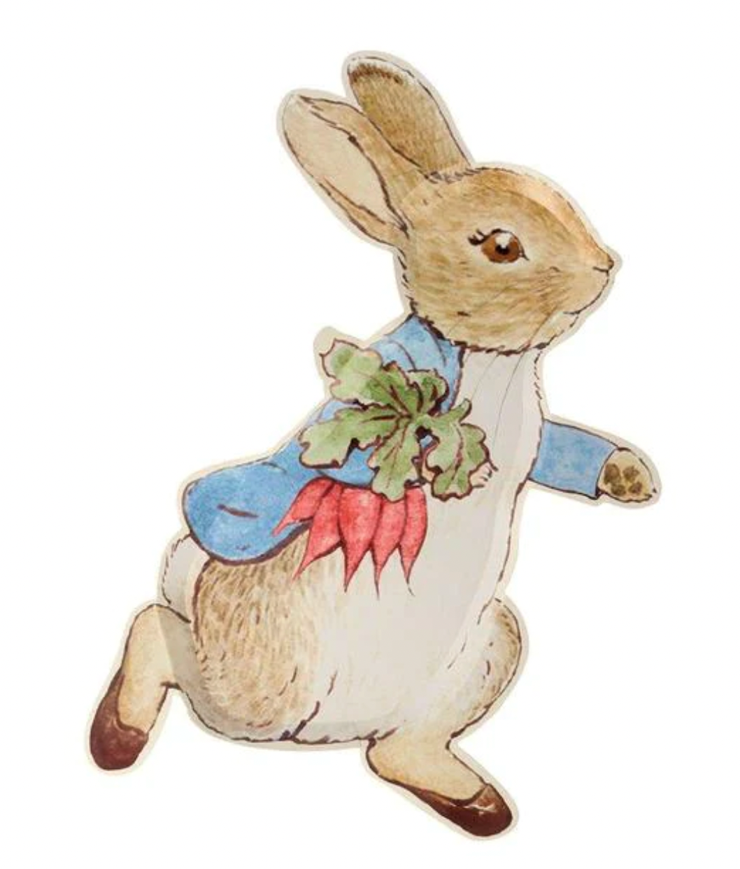 Peter rabbit shaped party plates nz