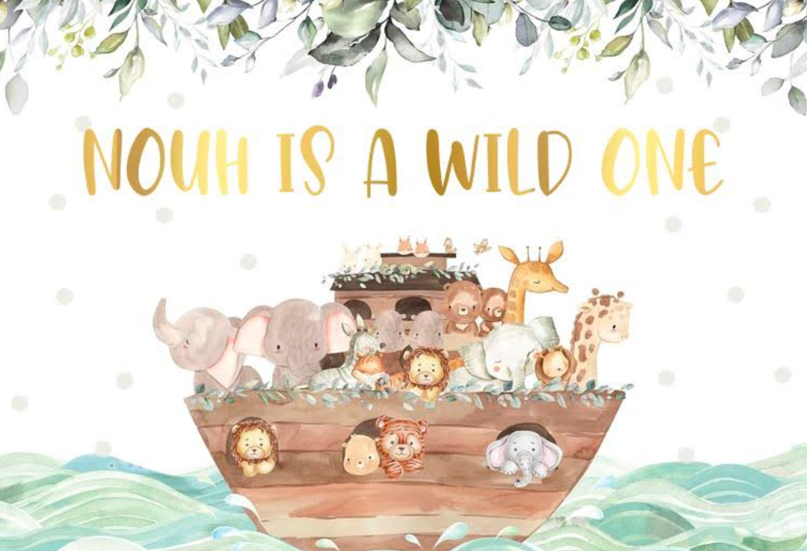 Wild one party backdrop NZ