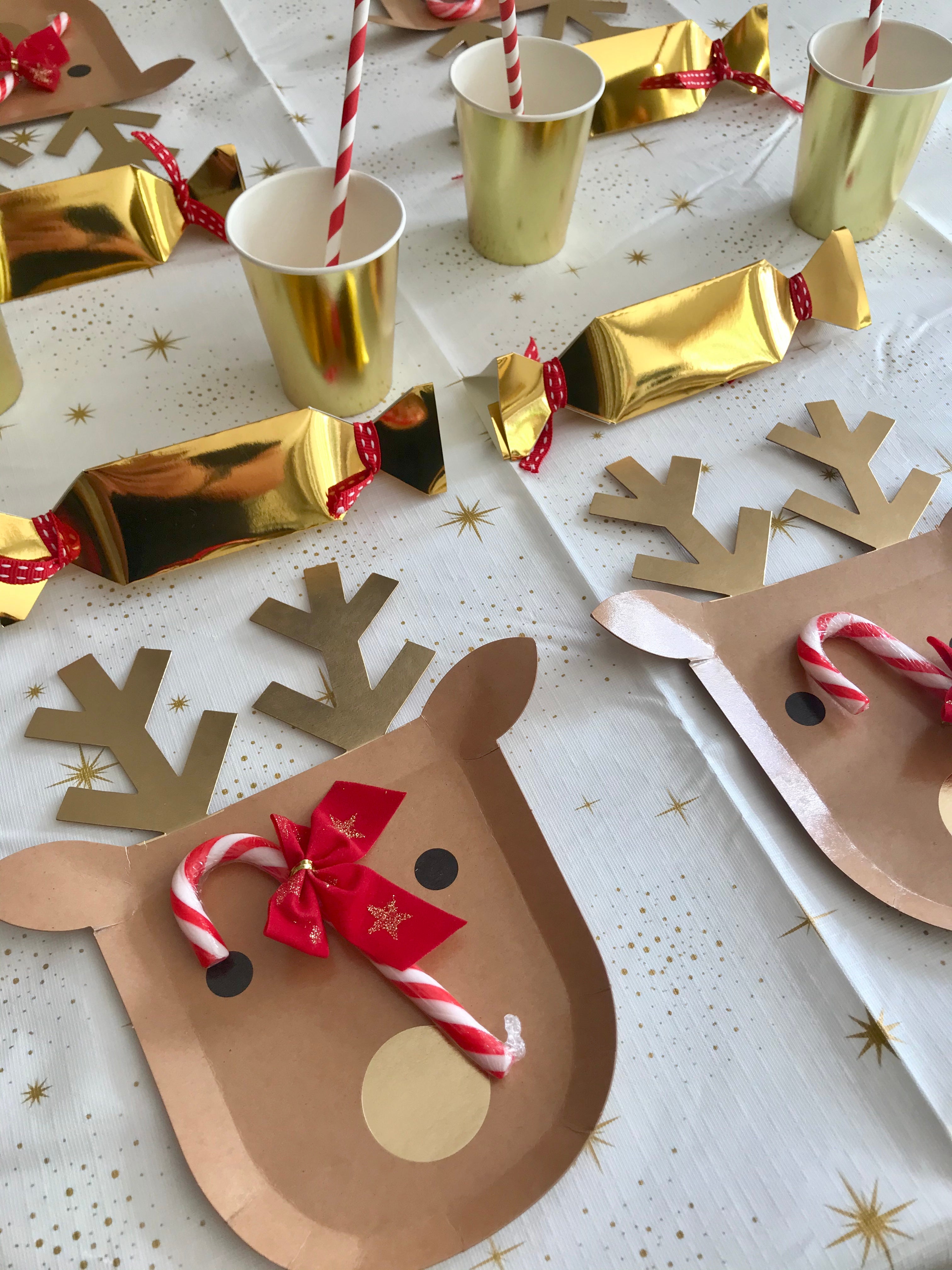 Christmas brown reindeer party setup