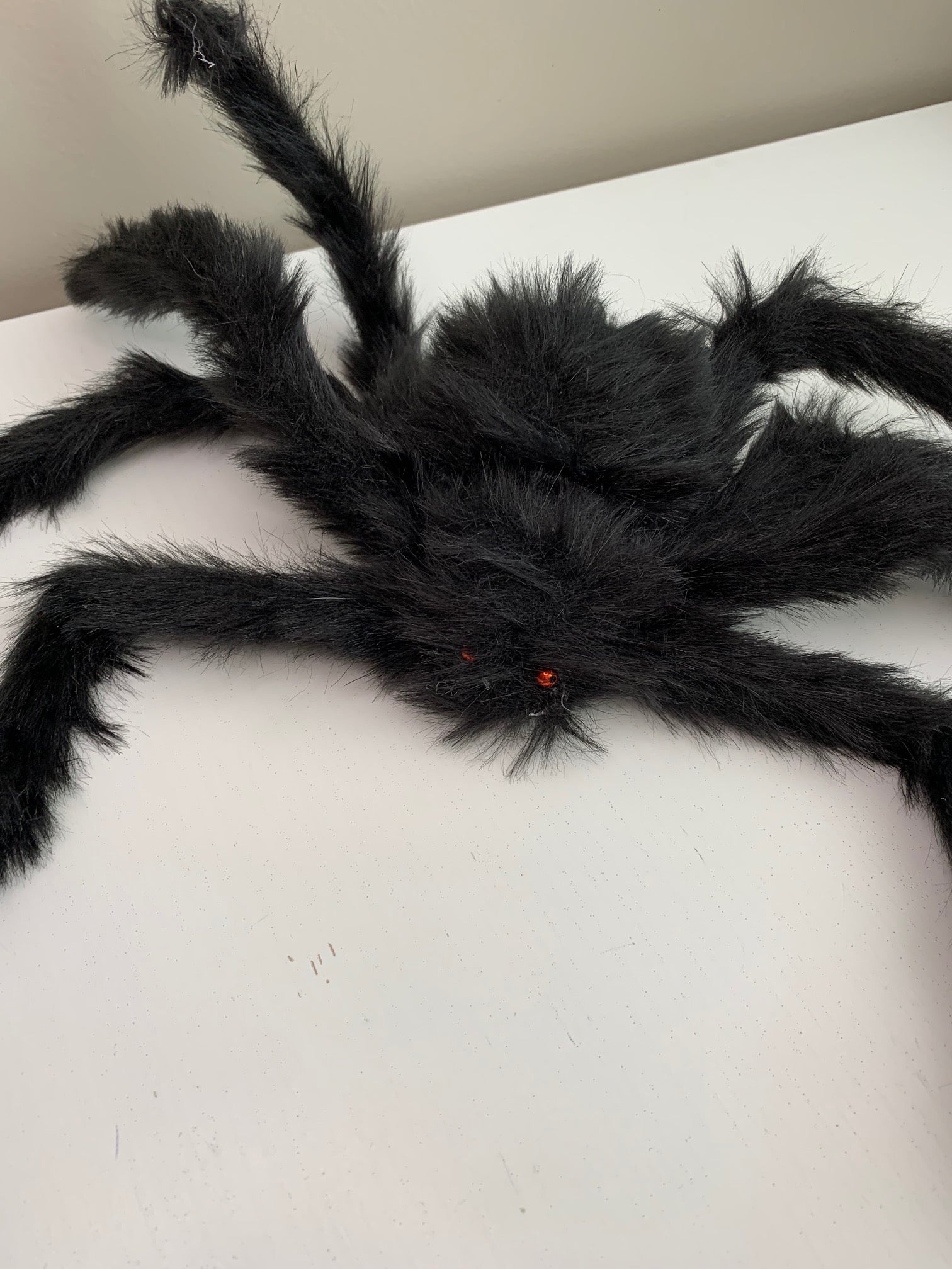 Large party spider