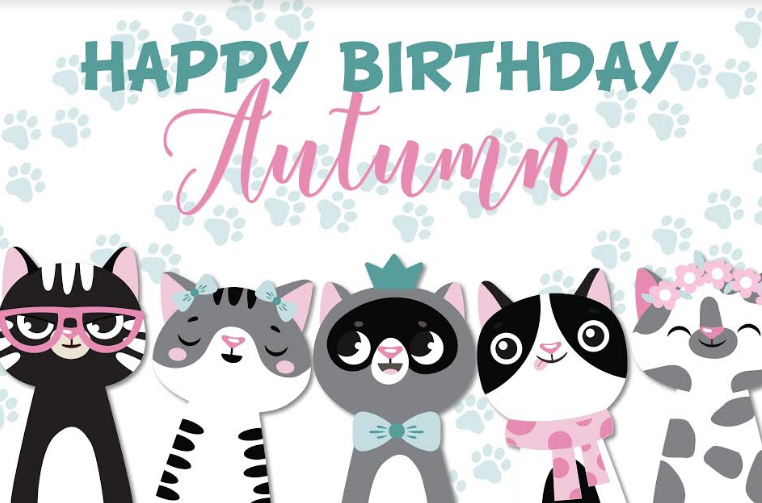 Cat party personalised backdrop