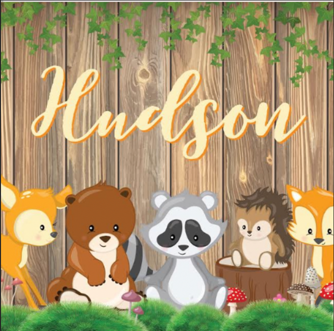 Woodland animal themed personalised backdrop