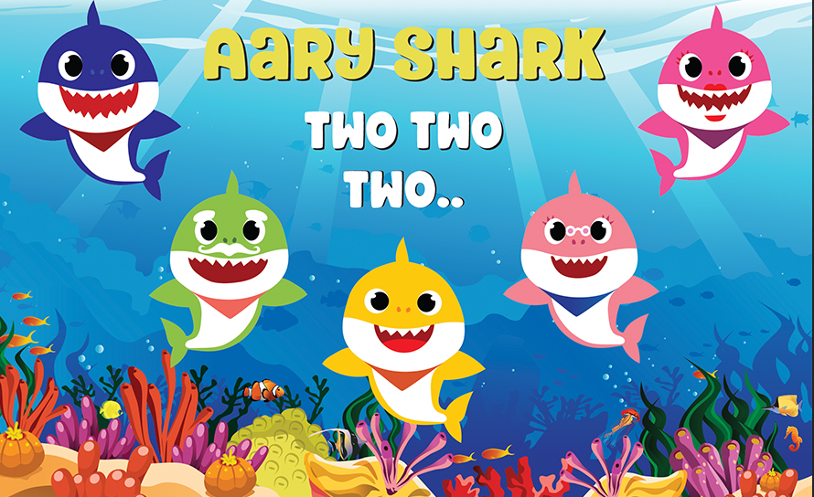 Baby shark party