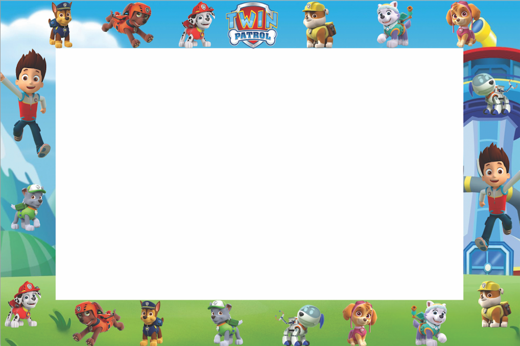 Paw patrol themed party supplies