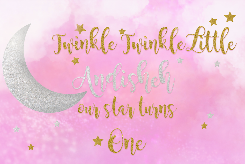 Twinkle twinkle little star first birthday pink vinyl backdrop