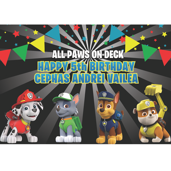 Paw patrol themed vinyl backdrop